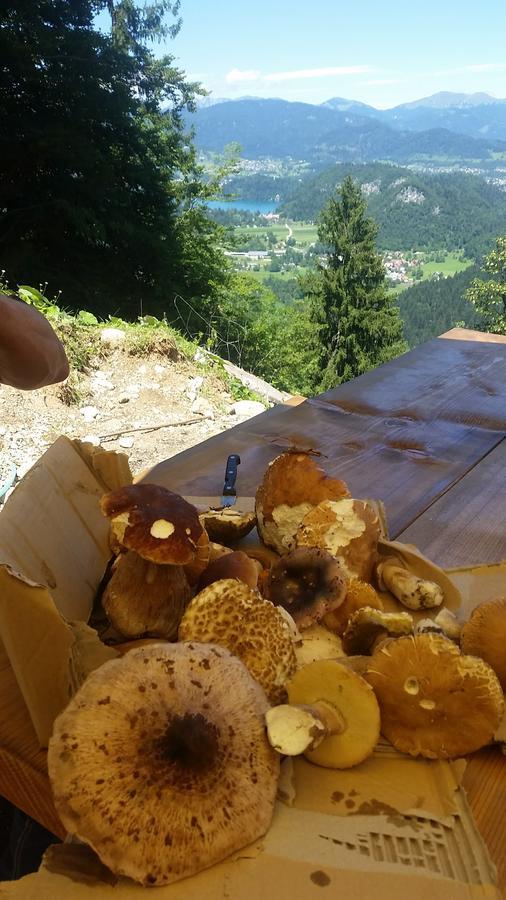 Bed and Breakfast Koca Na Talezu Ribno Экстерьер фото